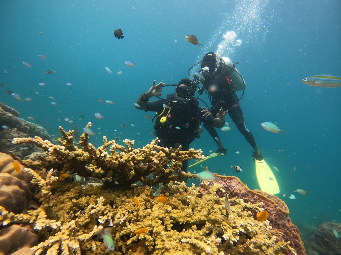 Scuba Diving in Havelock Island
