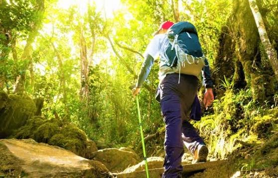Trekking to Elephant Beach