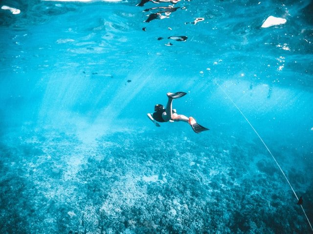 Snorkeling in North Bay