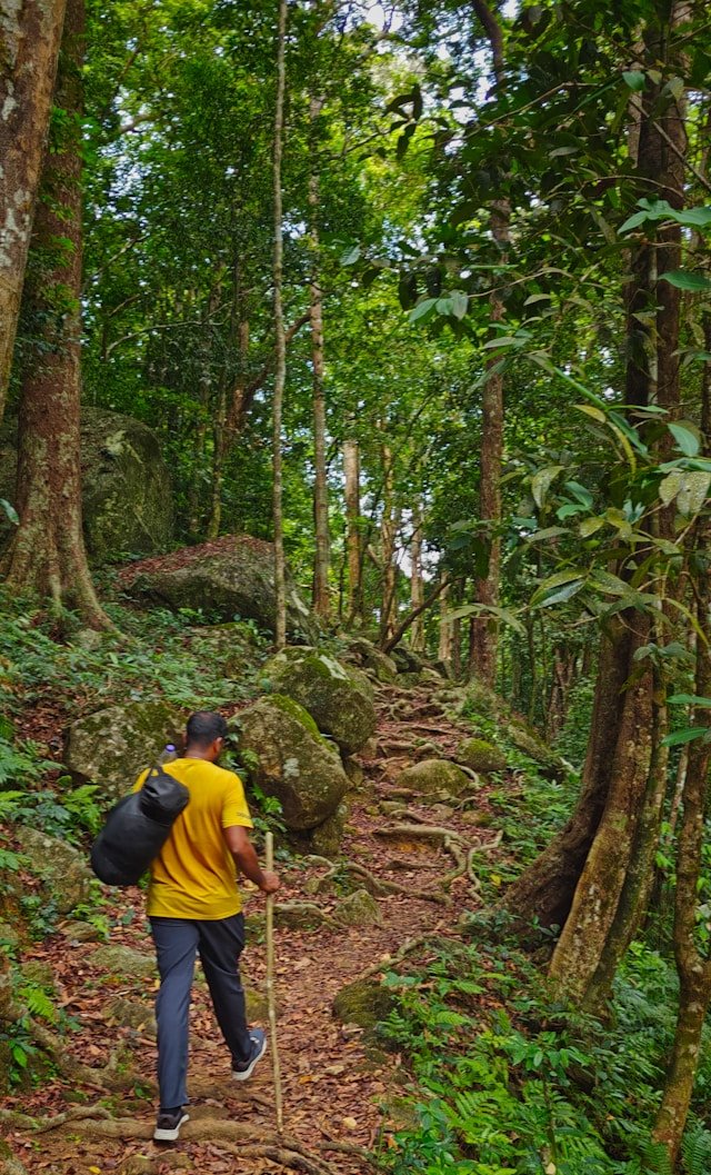 Trekking